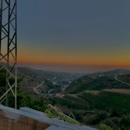 Casa Rural Malaga Monkey Love Con Jacuzzi Iznate Exterior photo
